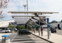 What Solar Trees Can Do