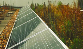 Green Roofs and Solar Energy – A Perfect Combination